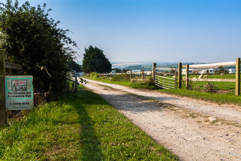 Jill's Meadow at Ponderosa